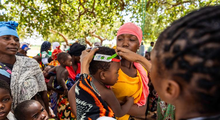 流动医疗队正在为莫桑比克德尔加多省的流离失所者提供基本医疗服务。